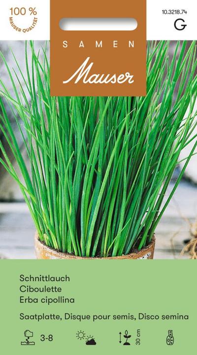 Image du produit Samen Mauser Assiette de graines de ciboulette (Graines d'herbes aromatiques)