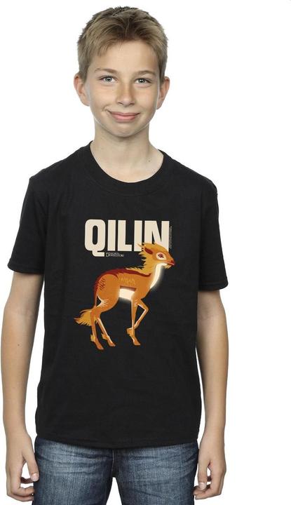 Image du produit Fantastic Beasts - T-shirt QILIN CHARACTER - Garçon (152, 158)