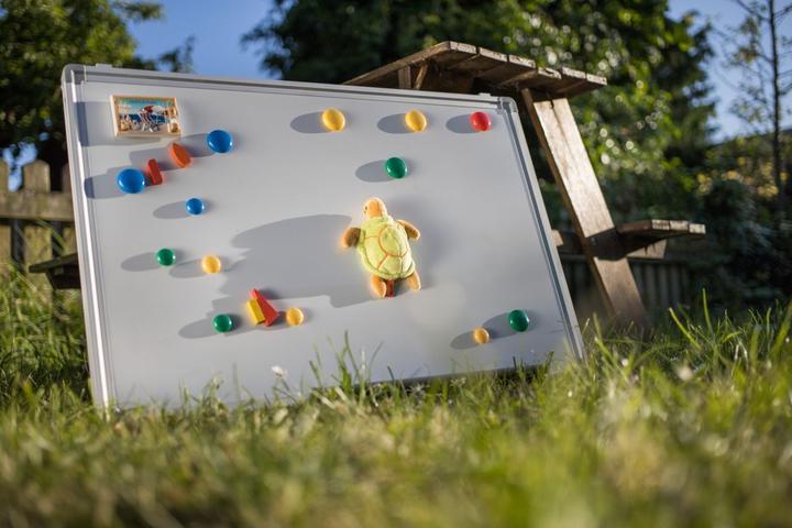 Produktbild Schaffer -Magnetics Schildkröte "Hilde" (5 cm)