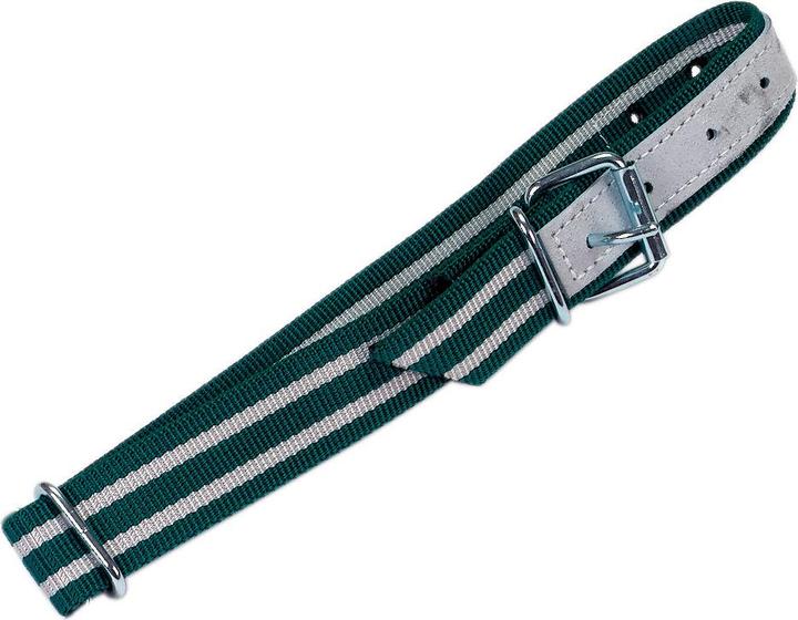 Actual product image Kerbl Neck strap (Dog)