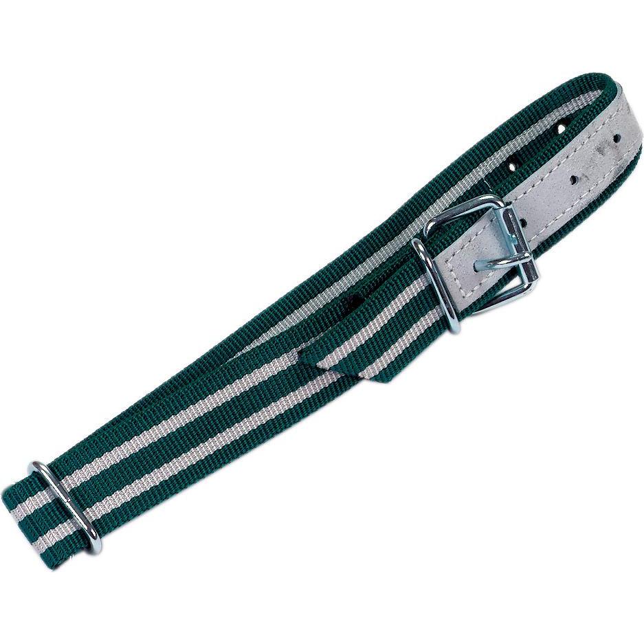 Meilleurs prix pour Kerbl Lanière de cou (Chien), Collier + laisse