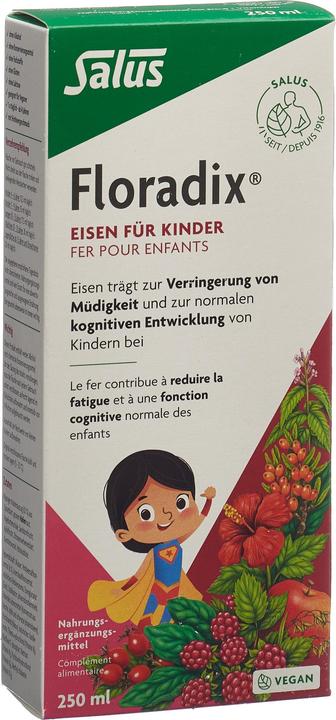 Produktbild Floradix Eisen für Kinder (1 Stück, Flüssigkeit, 606 g)