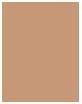 Actual product image Clinique Beyond Perfecting Powder Foundation + Concealer (#07 Cream Chamois)