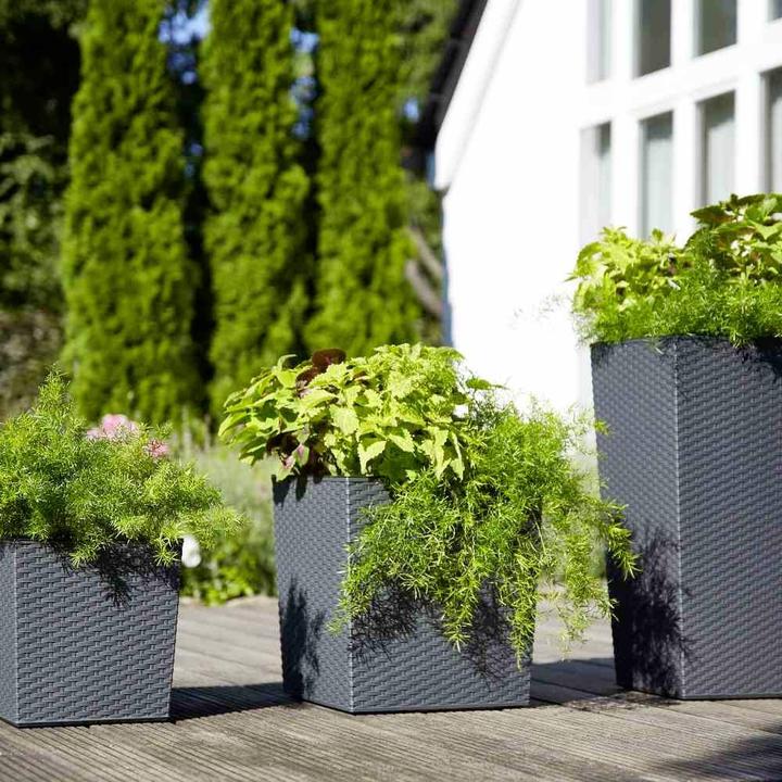 Actual product image Siena Garden Modern (25 cm)