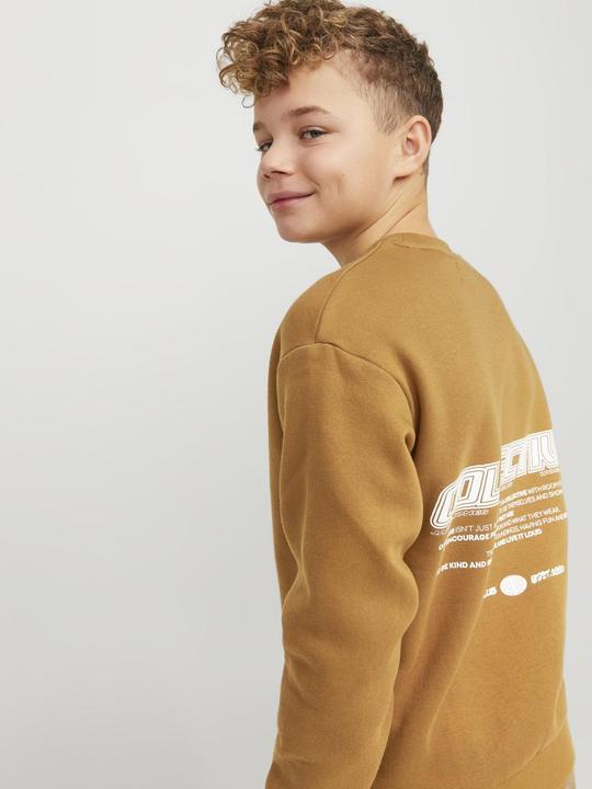 Actual product image Jack & Jones Jorcollect Edt Loose Sweat Crew Jnr (176)