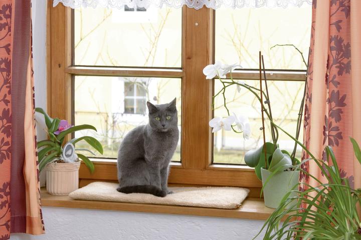 Produktbild Kerbl Fensterliegekissen 60x26x2cm, selbstwärmend (Hund, Katze)