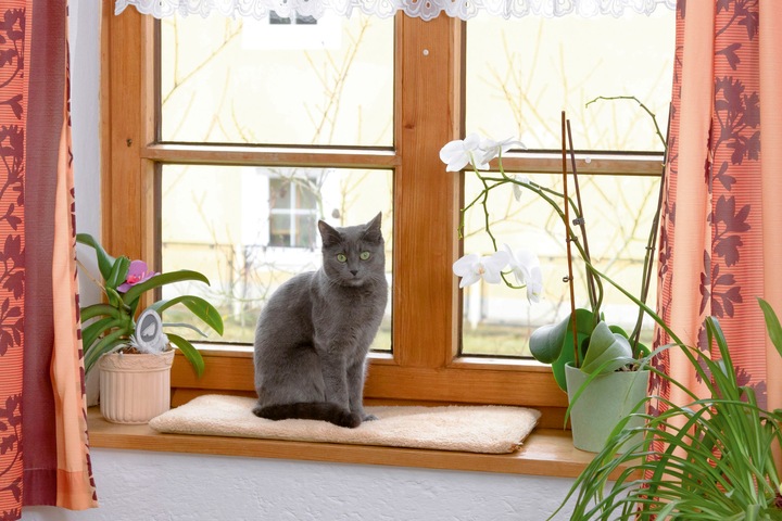 Productafbeelding Kerbl Raamkussen 60x26x2cm, zelfverwarmend (Hond, Kat)