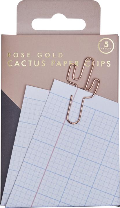 Actual product image micasa Rose Cactus