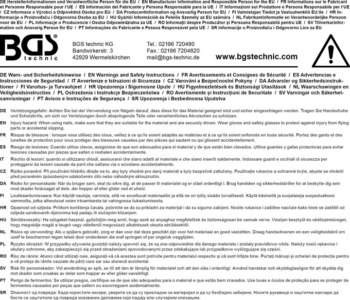 Immagine prodotto BGS Assortimento chiodi a testa piana 200 pz.