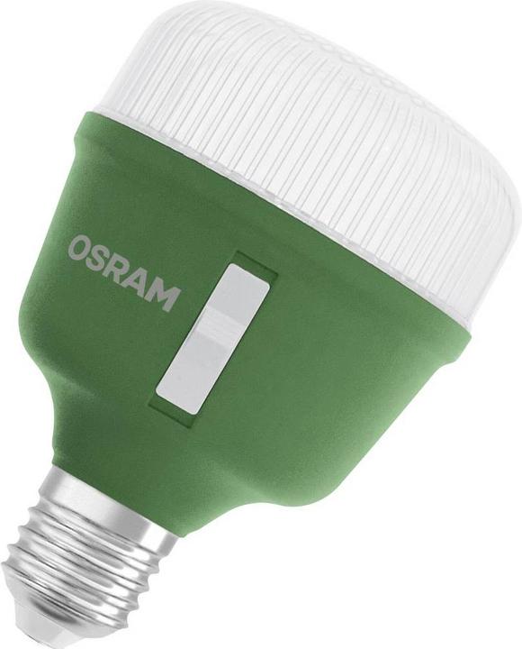 Osram HOMELIGHTING 4058075845800 Pflanzenlampe E27 20 W 1 St. (LED, 240 V)