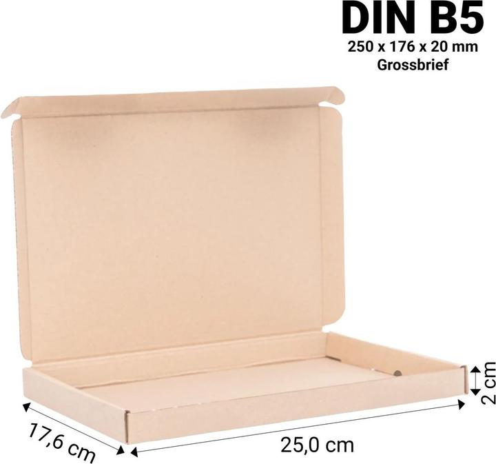 Audisana Versandkarton DIN B5 250×176×20 mm braun – 1 Grossbrief (1 pcs.)