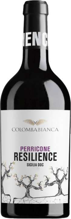 Actual product image Colomba Bianca Resilience Perricone Sicilia DOC (2021)