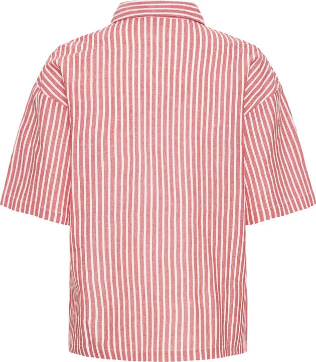 Stella di Natale d'arte