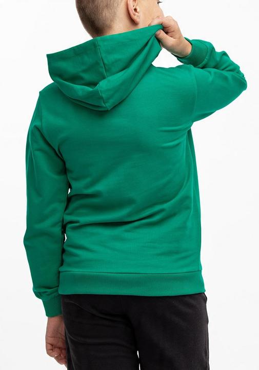 Produktbild Puma Team Goal Casuals Kapuzenpullover (140)