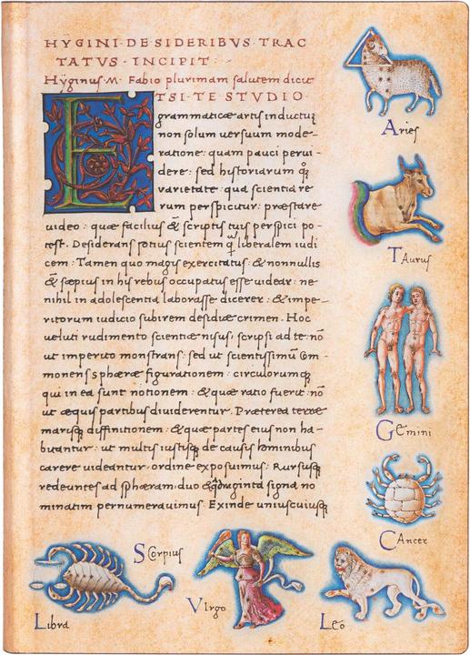 Immagine prodotto Paperblanks FLEXIS ASTRONOMICA - Taccuino (13 x 18 cm, Righe, Copertina morbida)