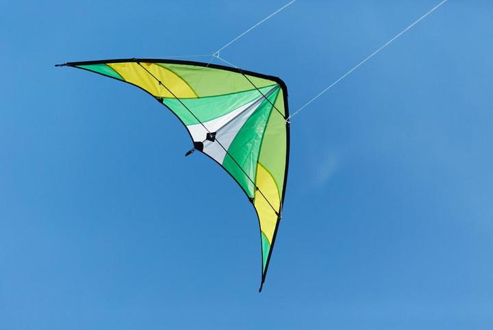 Actual product image Invento Orion Jungle