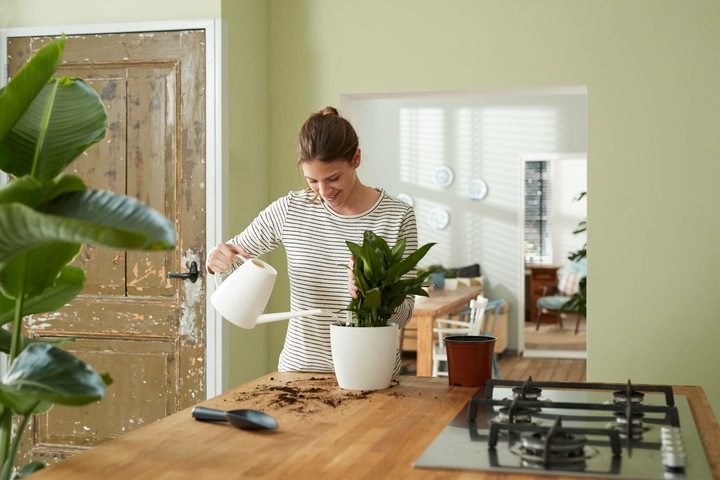 Actual product image Elho Self-irrigation systems