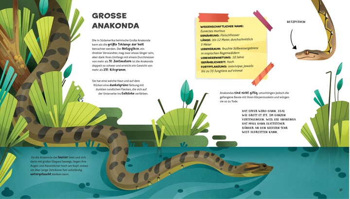 Produktbild National Geographic Besonders und wunderbar: Reptilien (Deutsch, Cristina Banfi, Claudia Theis-Passaro, 2021)