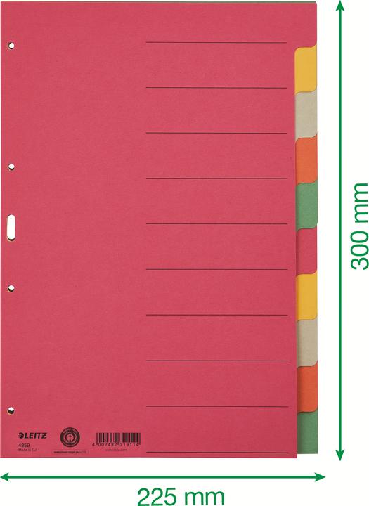 Leitz Register Karton