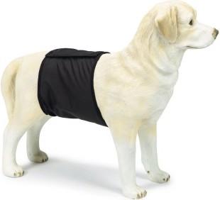 Beeztees Pantaloni Per Incontinenza Bz Rude Schw (Cane)