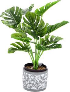 Actual product image Pot Olea Cylinder Grey 11 cm
