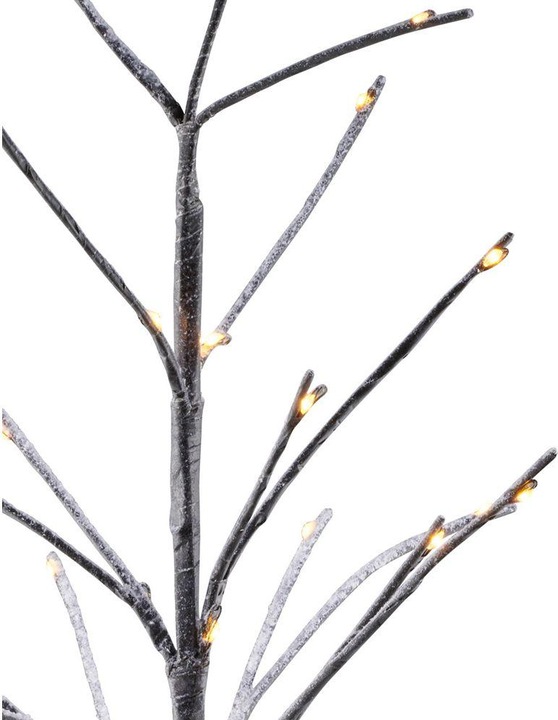 Actual product image Sirius Kira