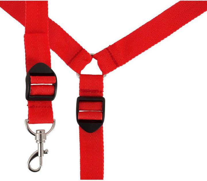 Actual product image Bad Kitty Bed restraint set