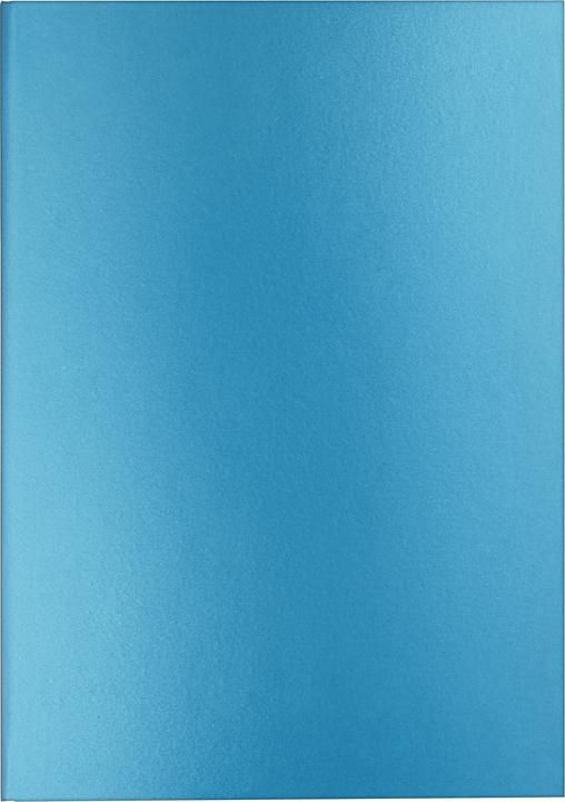 Caran d'Ache Carnet ligné A5 - turquoise (À rayures, Couverture rigide)