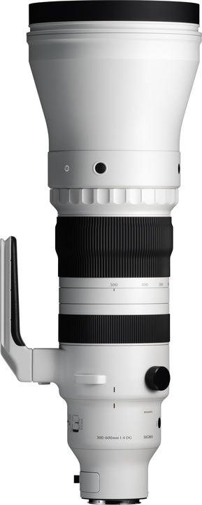 Sigma 300-600mm F4,0 DG OS | Sports (Sony-E) (Sony E, Vollformat)