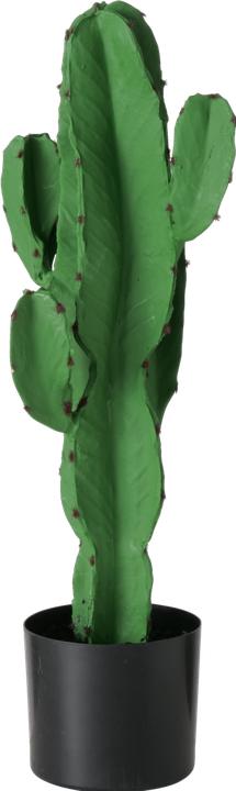 Immagine prodotto Boltze Home Ingens (65 cm)