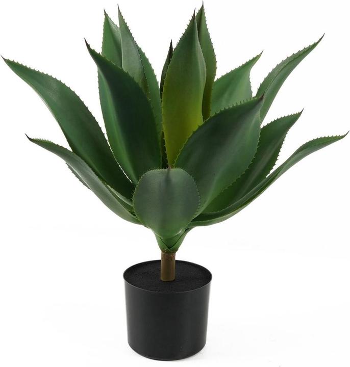 present time Succulent (56 cm)