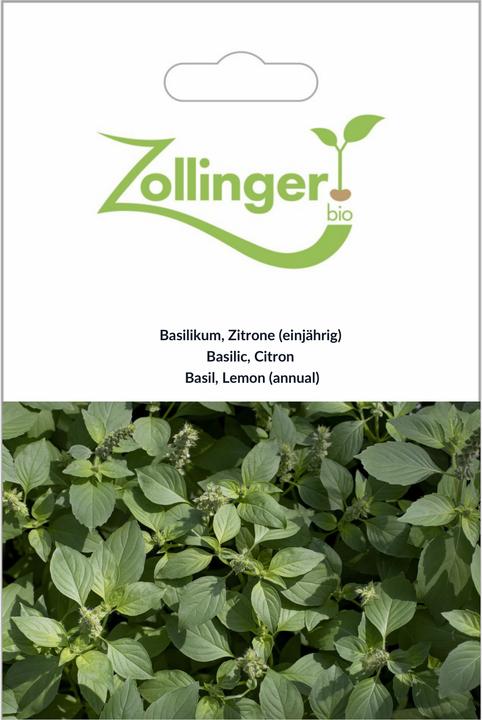 Image du produit Zollinger Bio Basilikum, Zitronenbasilikum (einjährig) (Germes)