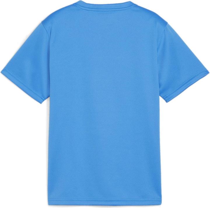 Immagine prodotto Puma Maglia TeamGOAL Jr (140)