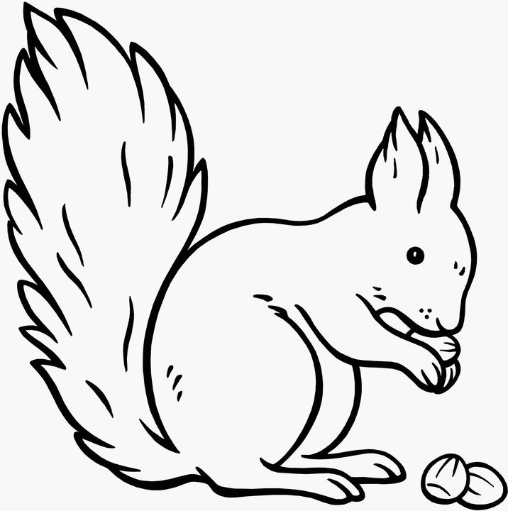 Produktbild Ravensburger Spiel & Spass - Mein allererster Malblock: Tiere