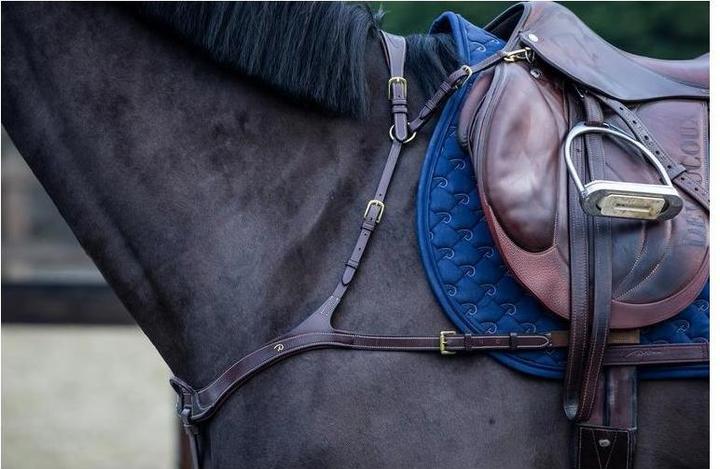 Image du produit Dy'on Collier de chasse anatomique