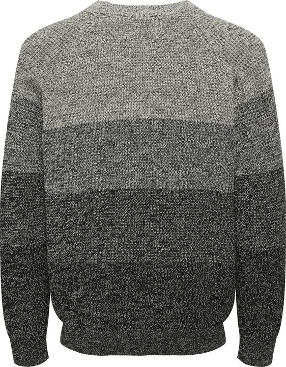 Image du produit Only & Sons Pullover BIRK Strickpullover R-Neck (XXL)
