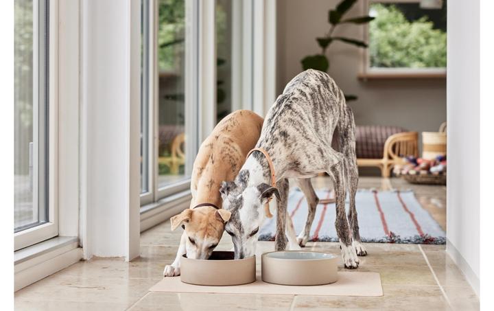 Immagine prodotto OYOY Zoo Ciotola in ceramica Sia S, Ø 13 x H 4,5 cm, Choko (1.31 l)