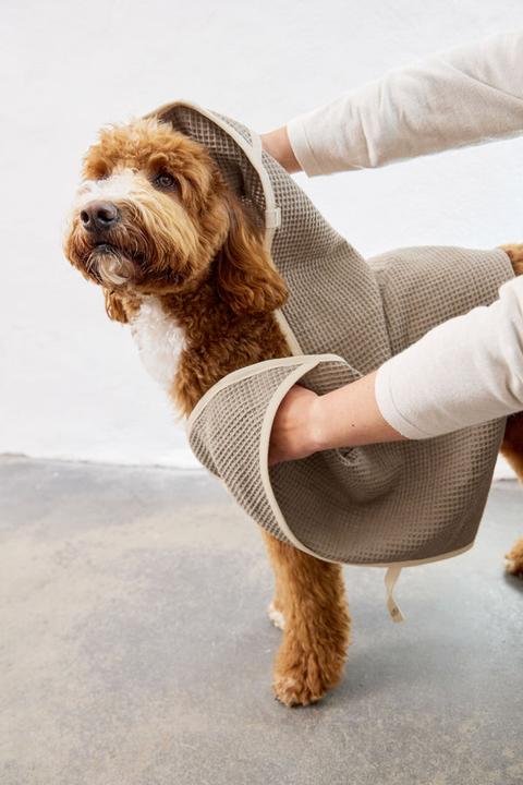 Actual product image Palopa Nobs (Dog)