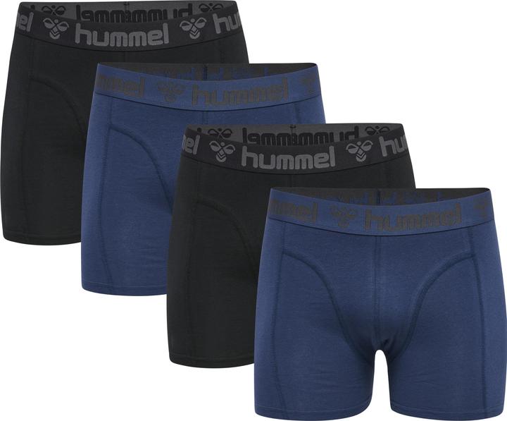 Schwarzinsiginablue