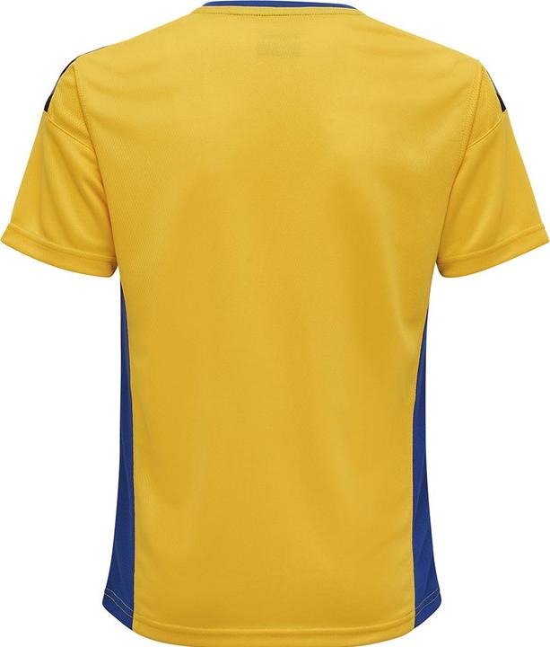 Image du produit hummel Authentic Kids Poly Jersey S/S (164)