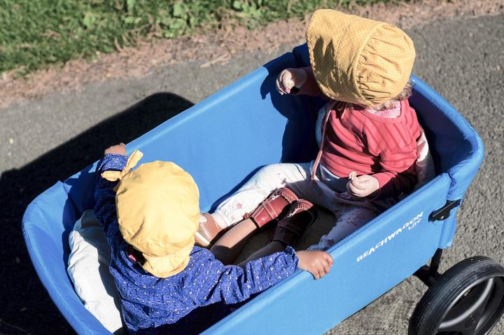 Image du produit Beach Wagon Company Chariot à bras Lite