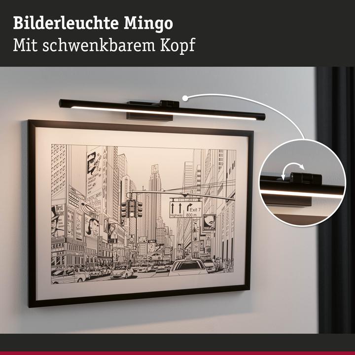 Immagine prodotto Paulmann Luce d'immagine Mingo (1250 lm)