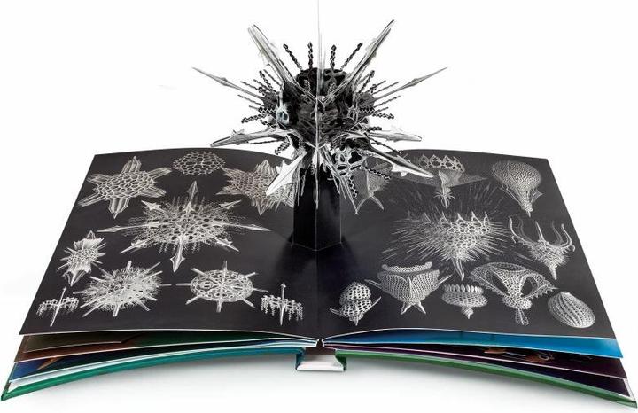 Produktbild Wunderwesen aus der Tiefe. Ernst Haeckel (Deutsch, Ernst Haeckel, 2015)