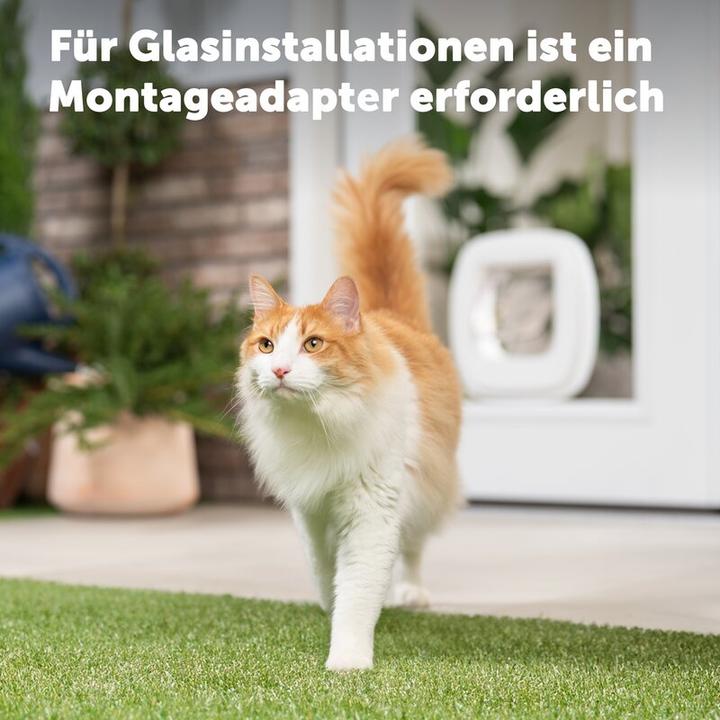 Actual product image PetSafe KATZENKlappe BIG CAT 2.0 KLAPPE (Manual cat flap)