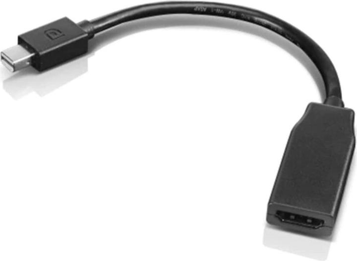 Immagine prodotto Lenovo Mini-DisplayPort zu (0.20 m)