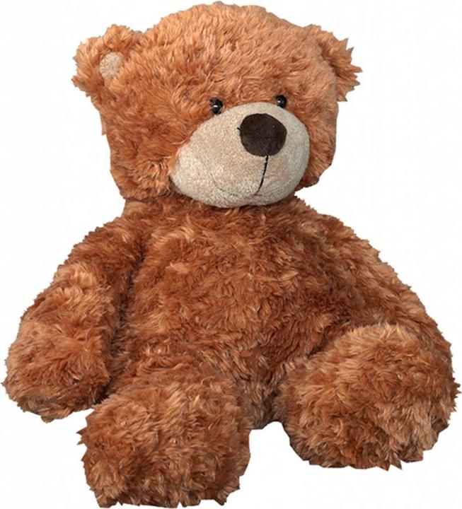 Image du produit Aurora Ours brun (23 cm)