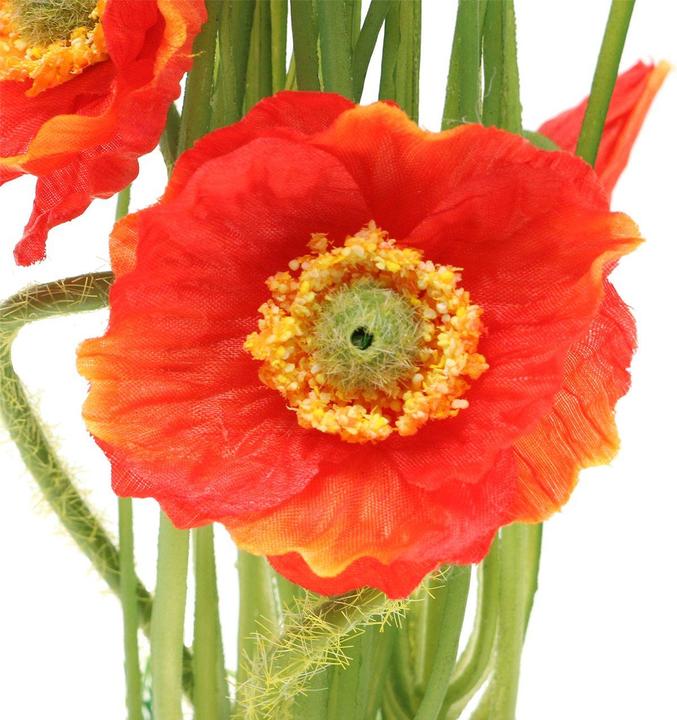 Viana Künstlicher Mohn rot mit Ziergras in dekorativem Grasballen für ...