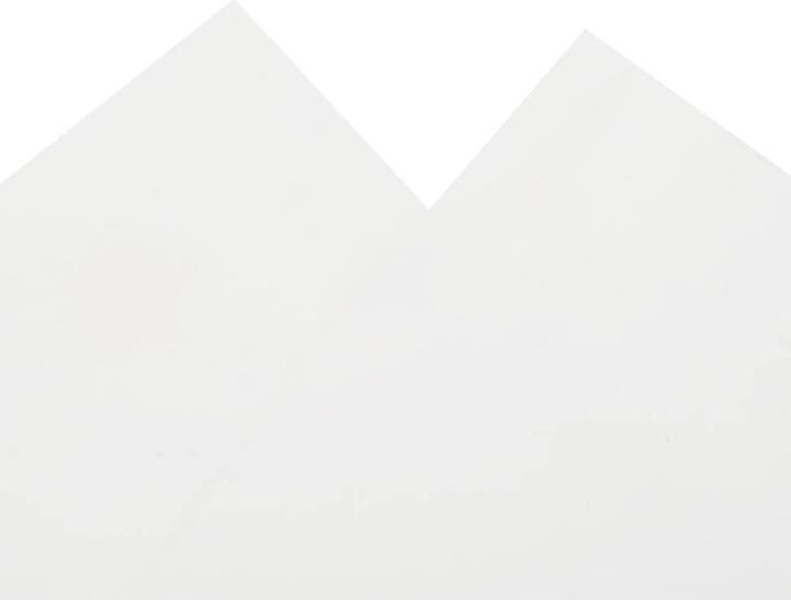 Produktbild vidaXL Plane (6 x 1.50 m)