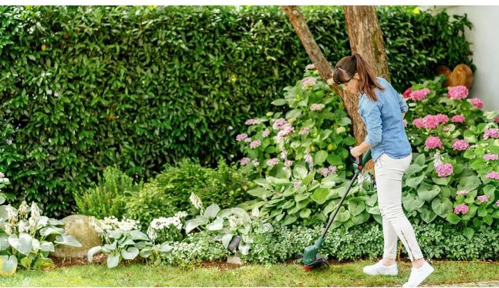 Produktbild Bosch Home & Garden EasyGrassCut 18V-26 (Trimmfaden)