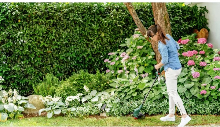 Actual product image Bosch Home & Garden EasyGrassCut 18V-26 (Trim line)